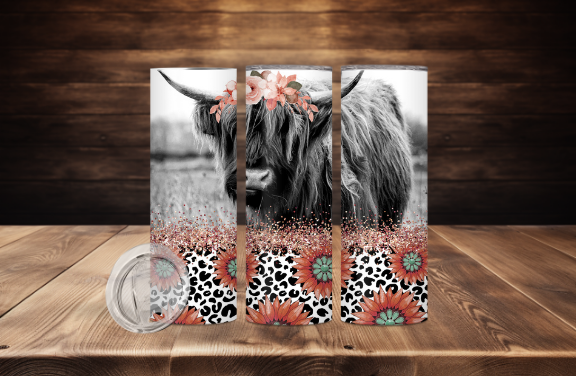 Highland Cow with Coral Daisies